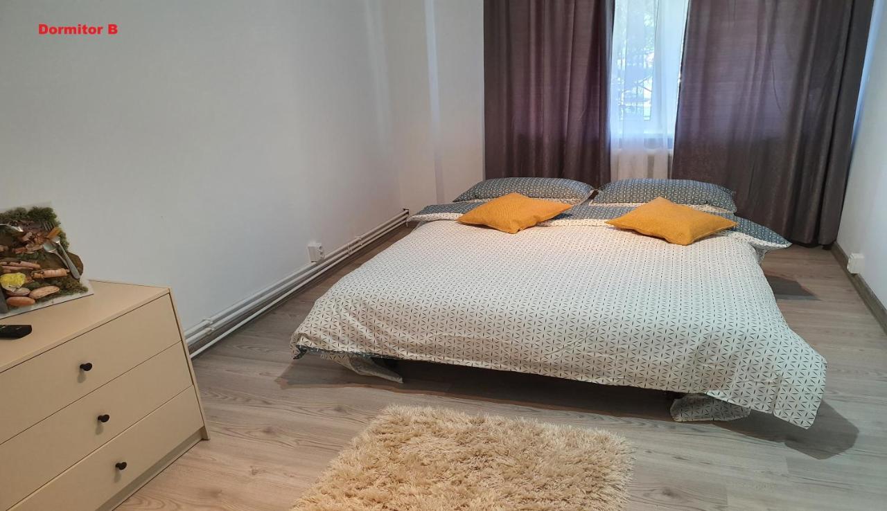 Mia Central Apart, 3 Rooms, 2 Baths, Afi Mall Braşov Buitenkant foto